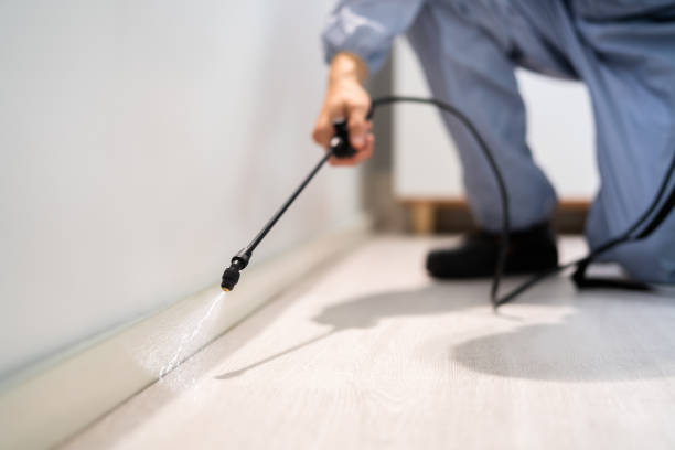 Licensed Pest Control service in Farmington, UT - Show Me Pest Control