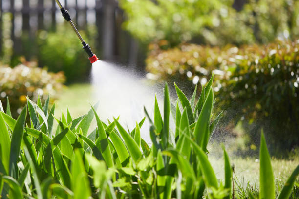 24/7 Emergency Mosquito Control experts in Farmington, UT