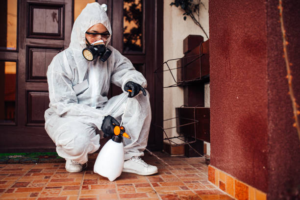 Reliable Mosquito Control contractor in Farmington, UT by Show Me Pest Control